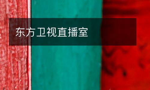 東方衛(wèi)視直播室