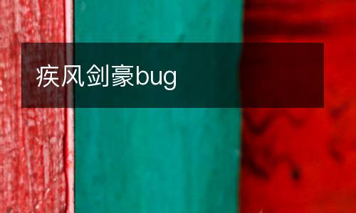 疾風(fēng)劍豪bug