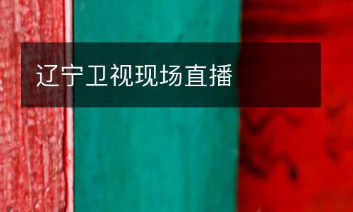 遼寧衛(wèi)視現(xiàn)場(chǎng)直播