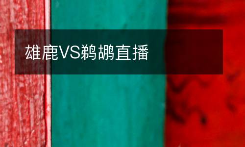 雄鹿VS鵜鶘直播