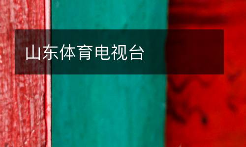 山東體育電視臺(tái)