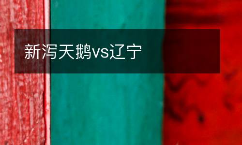 新瀉天鵝vs遼寧