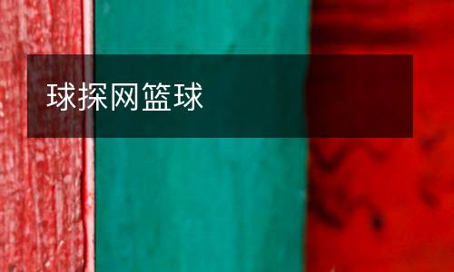 球探網(wǎng)籃球