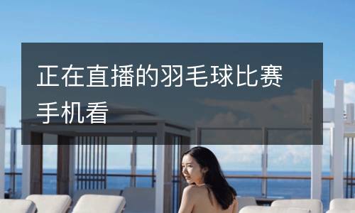 正在直播的羽毛球比賽手機看