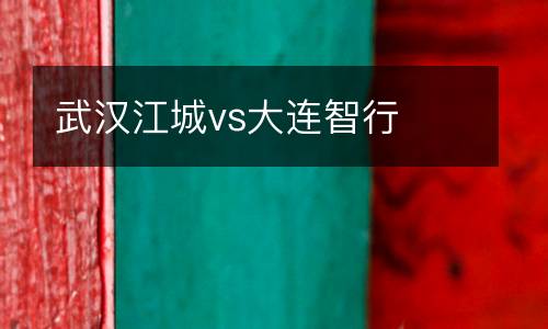 武漢江城vs大連智行