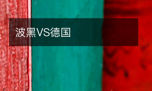波黑VS德國(guó)